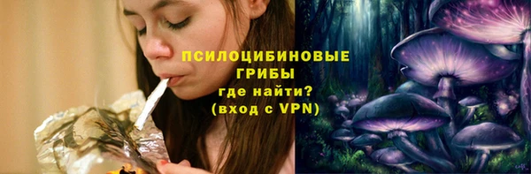 apvp Балахна