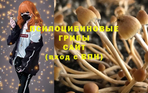apvp Балахна