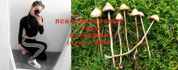 мет Баксан